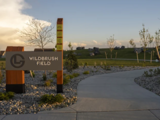 Wildbrush Field
