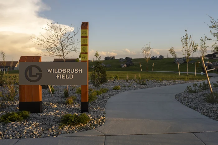 Wildbrush Field