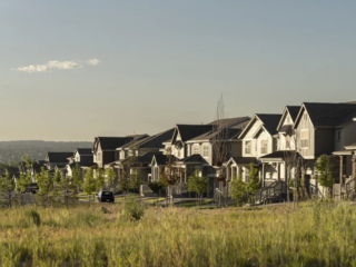 Homes of Looking Glass