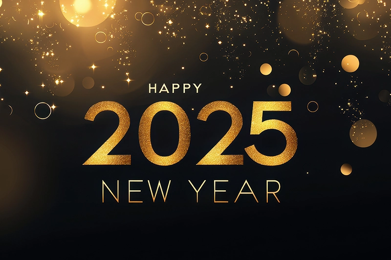 Happy 2025 New Year